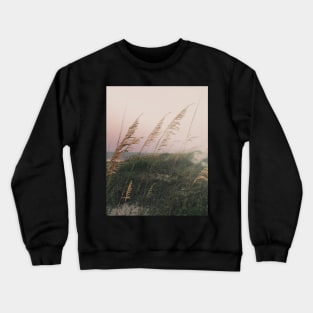 California Dreaming Crewneck Sweatshirt